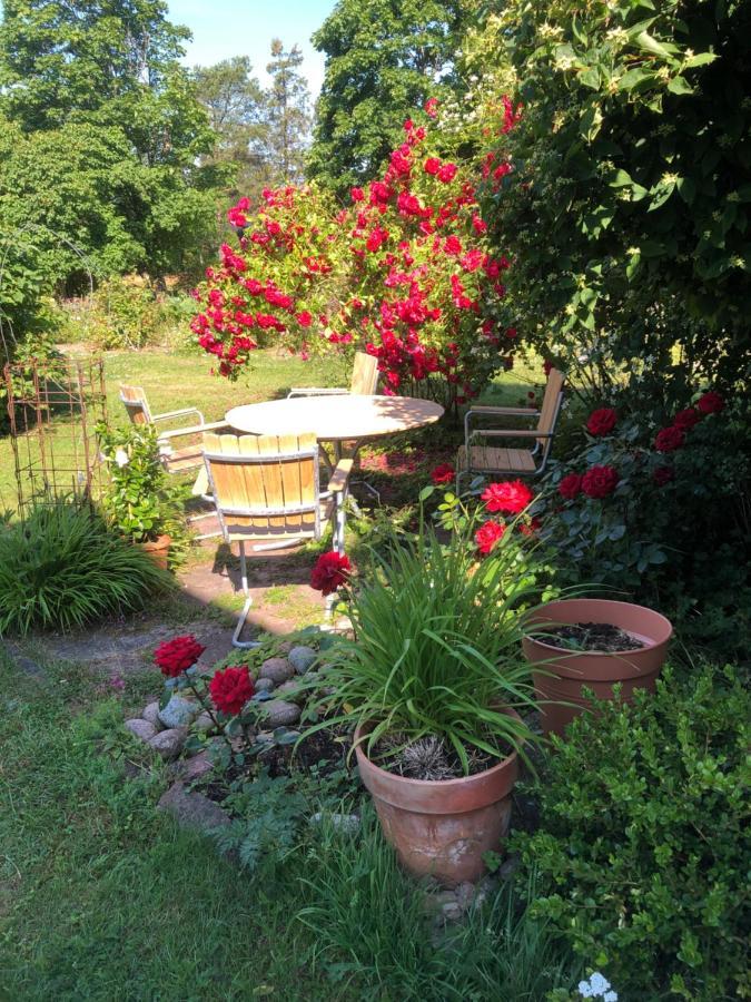 Susannes B&B Frebbenby Bagian luar foto