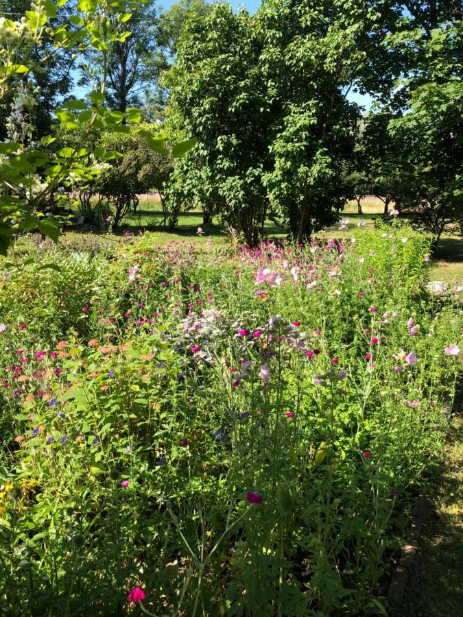 Susannes B&B Frebbenby Bagian luar foto